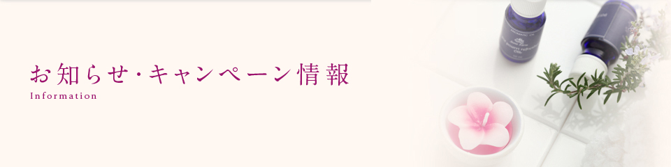 お知らせ・キャンペーン情報